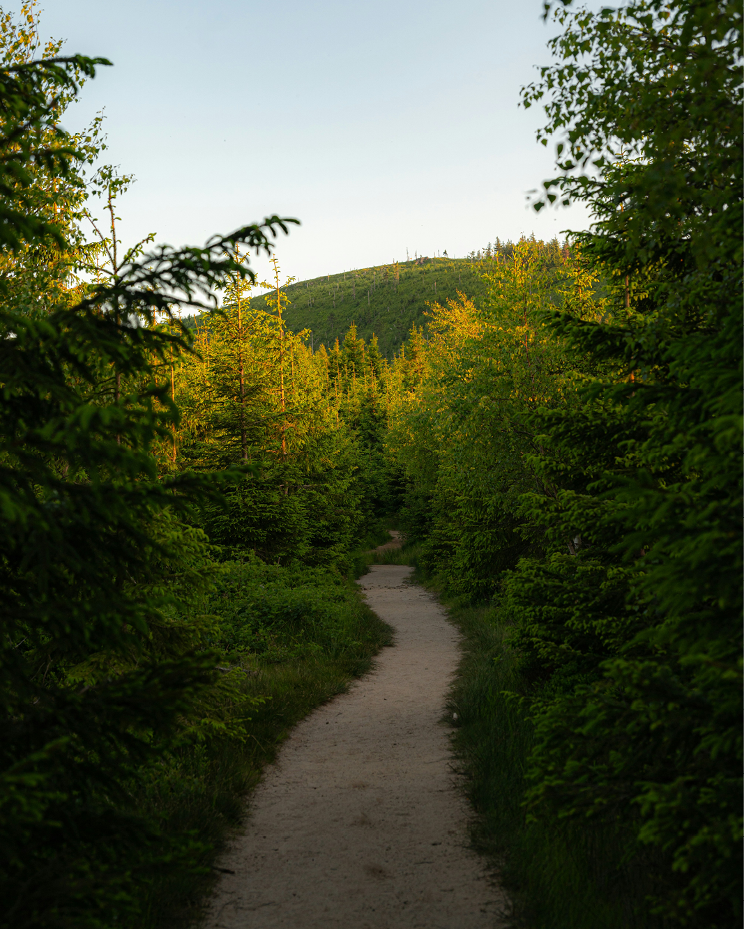 25-RNW-0601-Website13