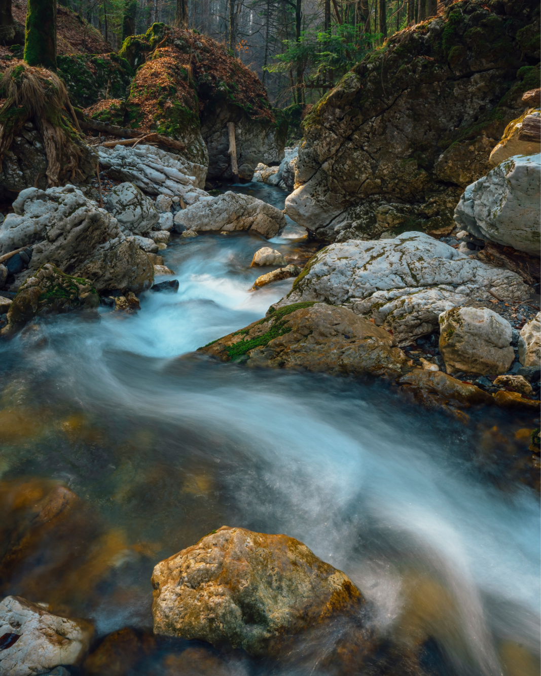 25-RNW-0601-Website68