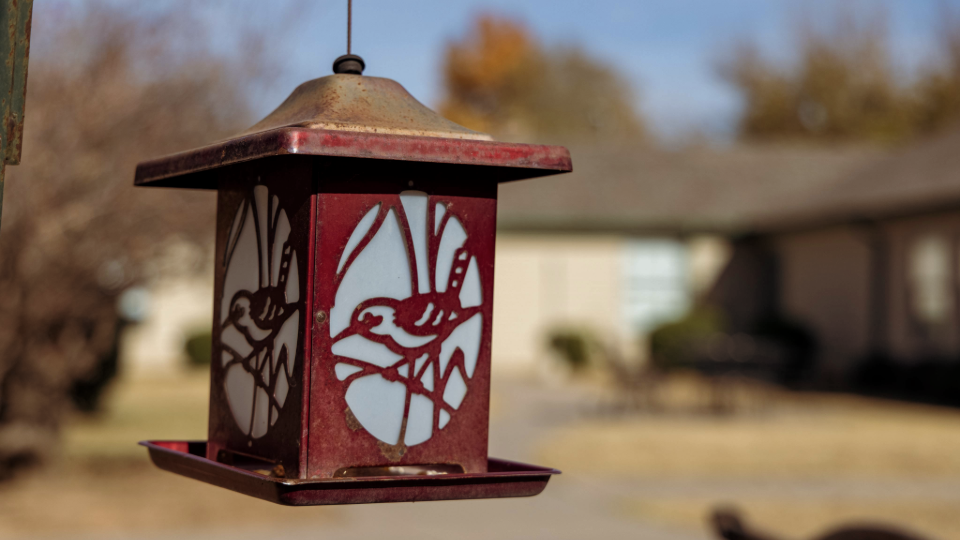 25-RNW-0630-Photography-5