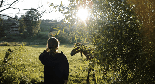 Alcohol Detox vs. Drug Detox: Understanding the Differences at Renewal Springs