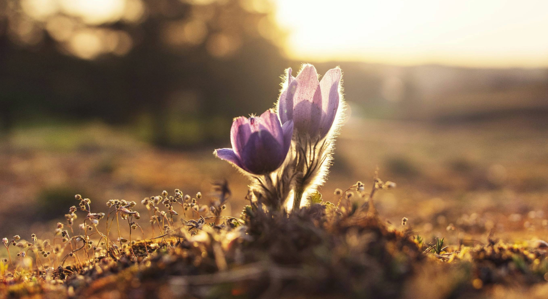 Signs You Need Detox